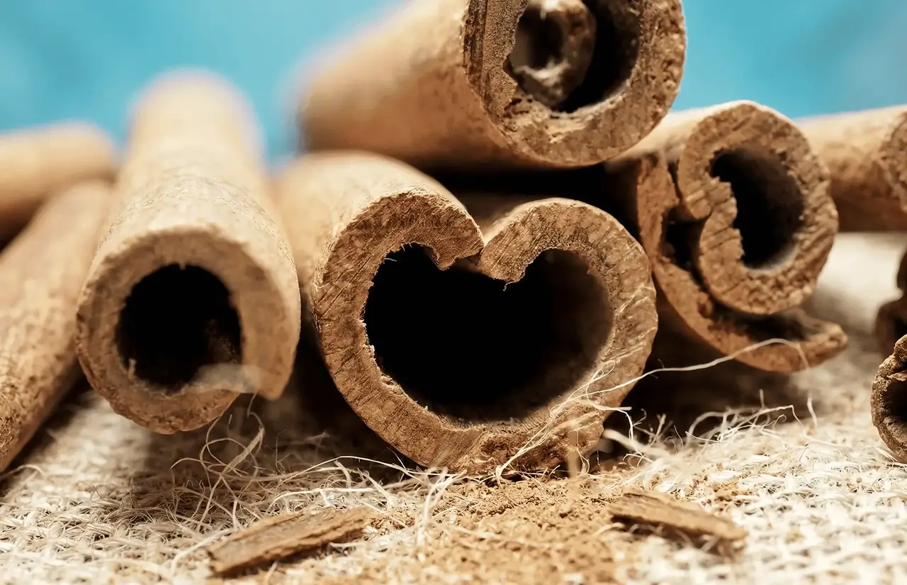 L'EXCELLENCE DE NOS PRODUITS HALAL