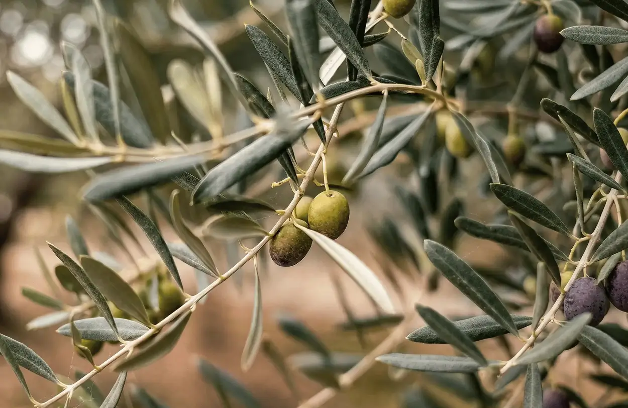 LE PRODUIT ET LE CLIENT AU CŒUR DE NOS ACTIONS